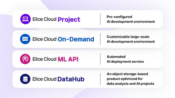 Experience an All-in-One Cloud Solution
for AI R&D and Deployment
